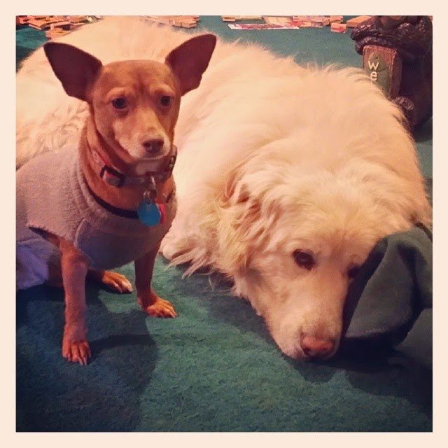 L.B. Knows Buddy Isn’t Feeling Good