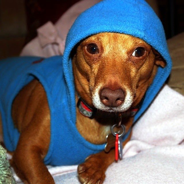 Yo Dawg, What Up?