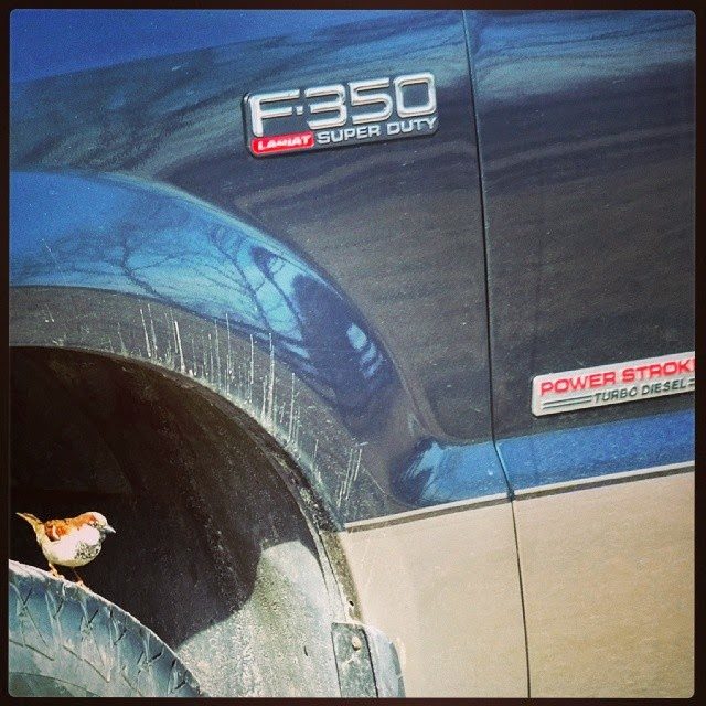 Ford Tough