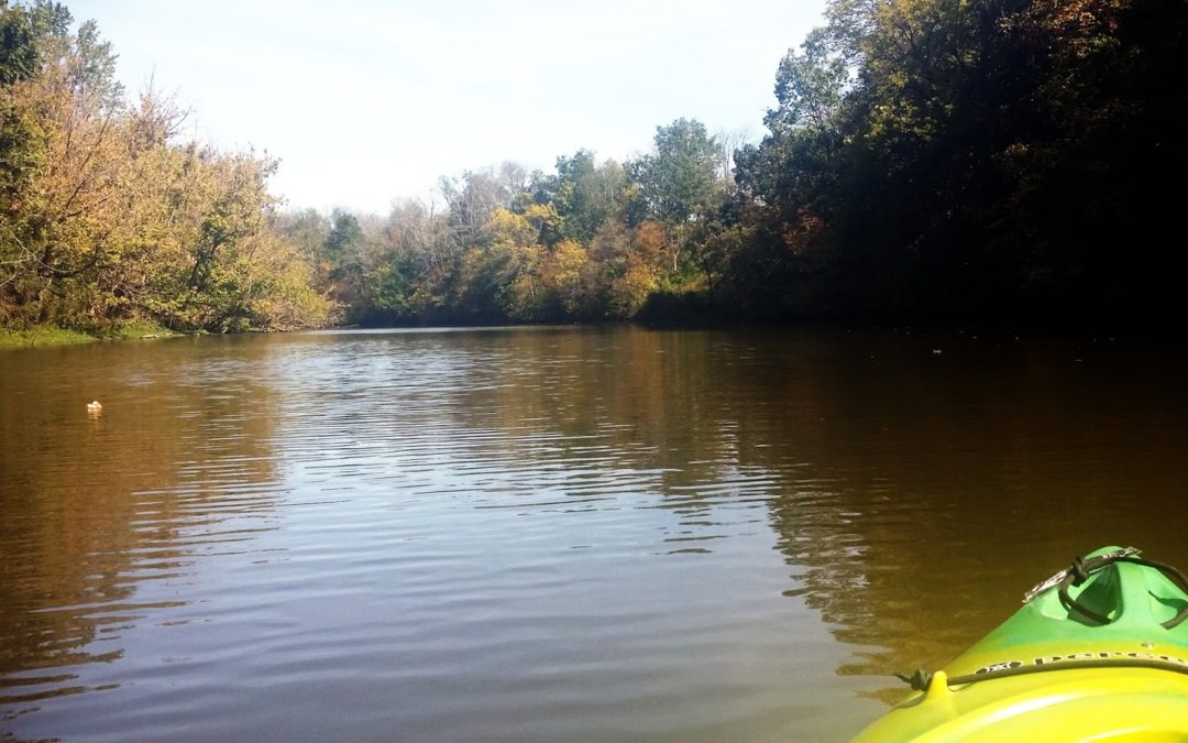 Kayaking Shelby Lake