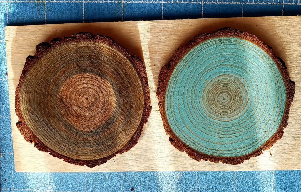 Stained Wood Slices