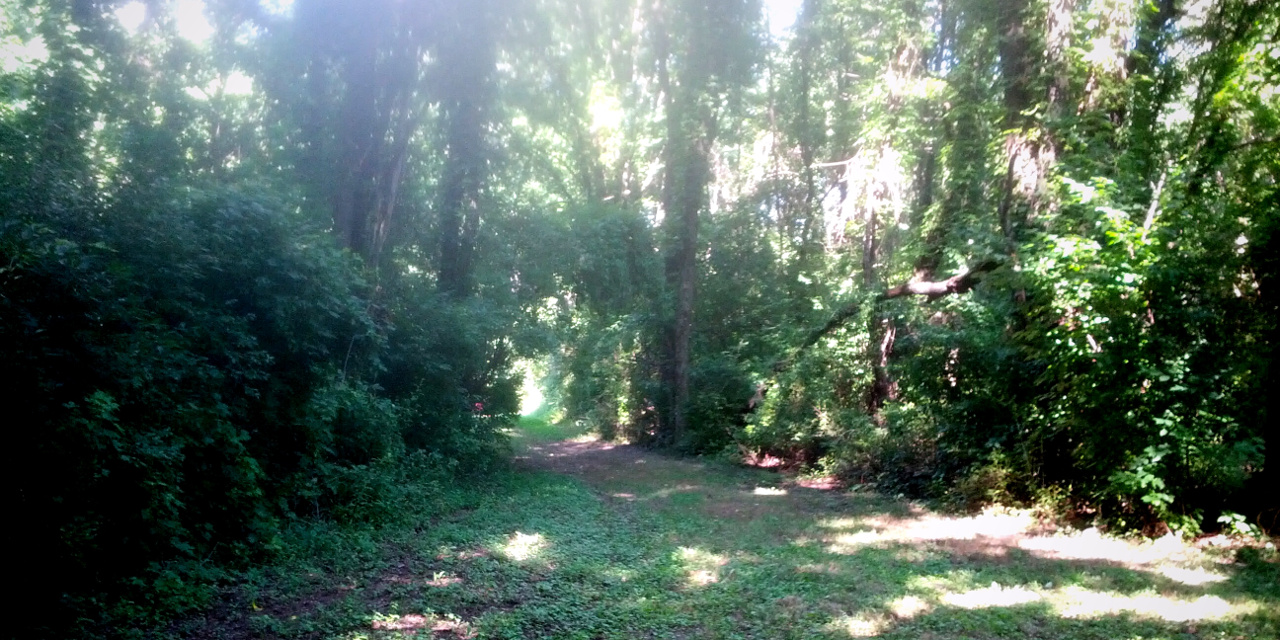 Hiking at Creasey Mahan Nature Preserve (3/365)