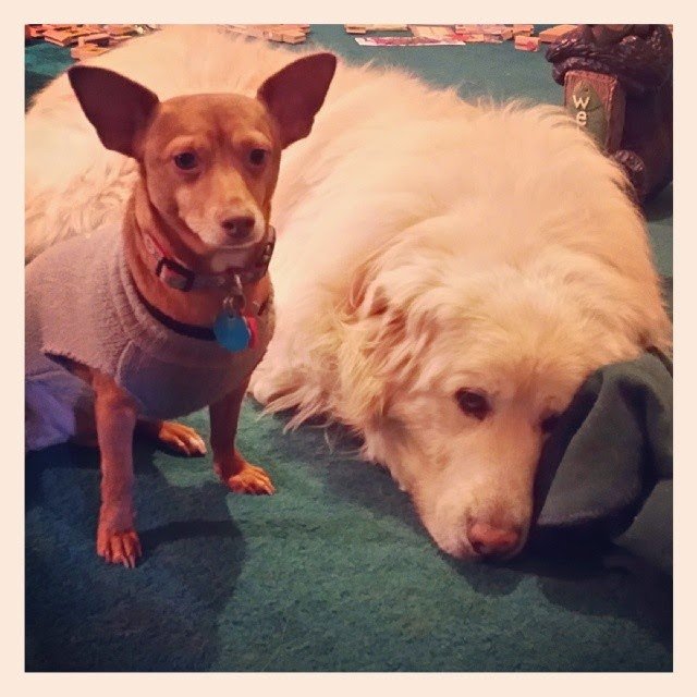 L.B. Knows Buddy Isn’t Feeling Good