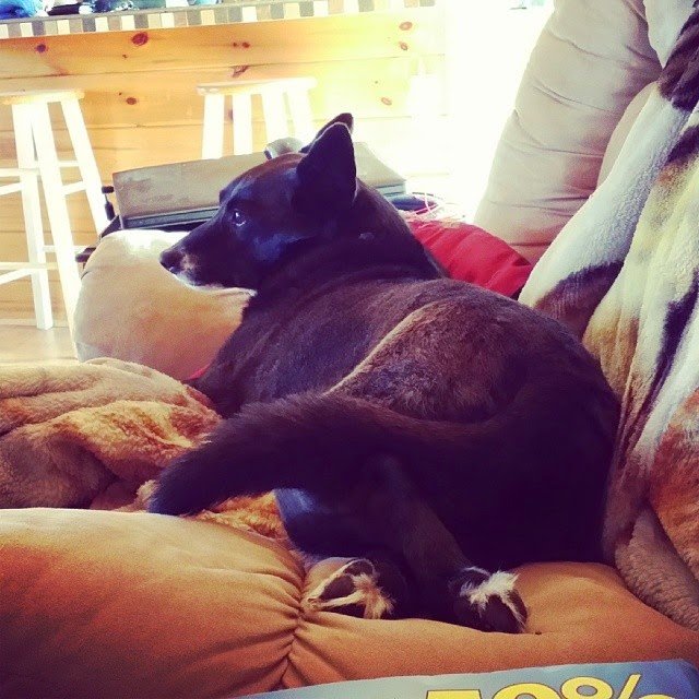 How to Sit Like a Lady – Lesson 1