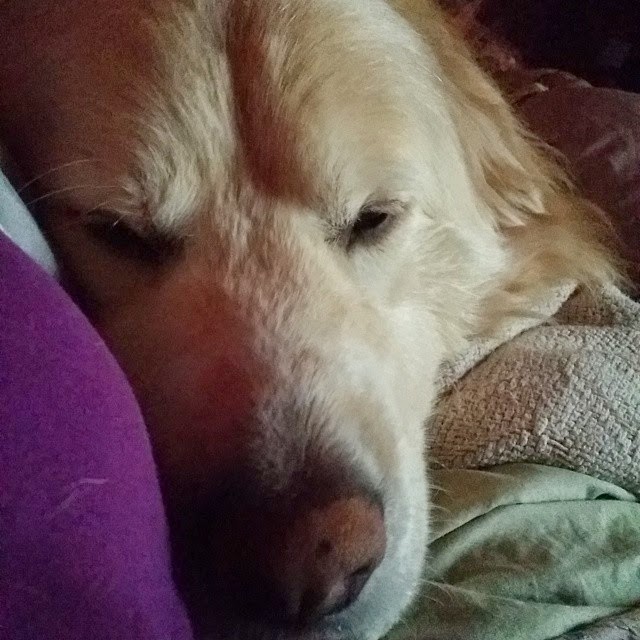 Wake Up Call