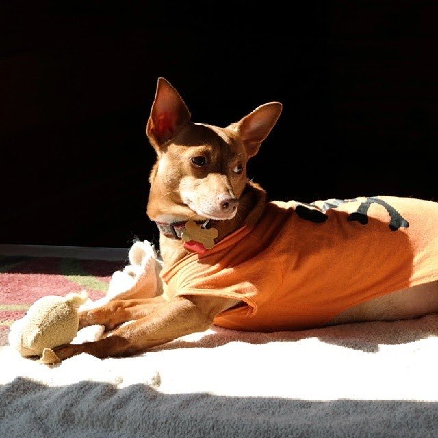 Absorbing Some Vitamin D