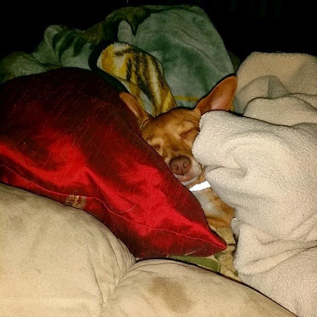 Pouty Snuggle Pants