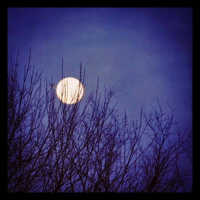 Goodnight, Moon