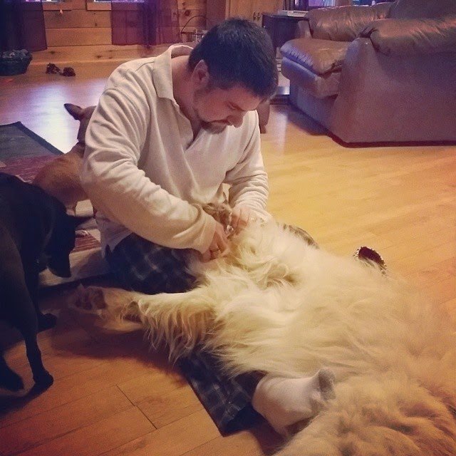 Puppy Pedicure