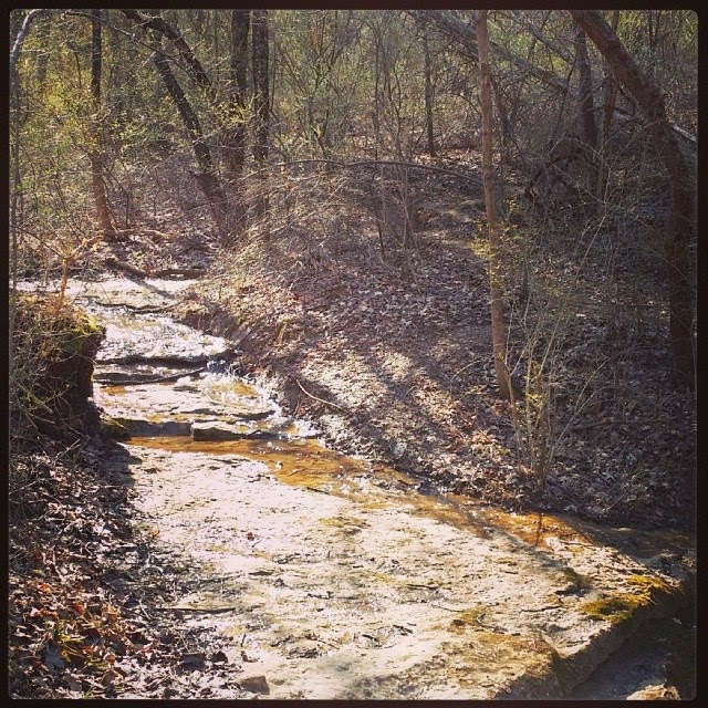 Today’s Hike