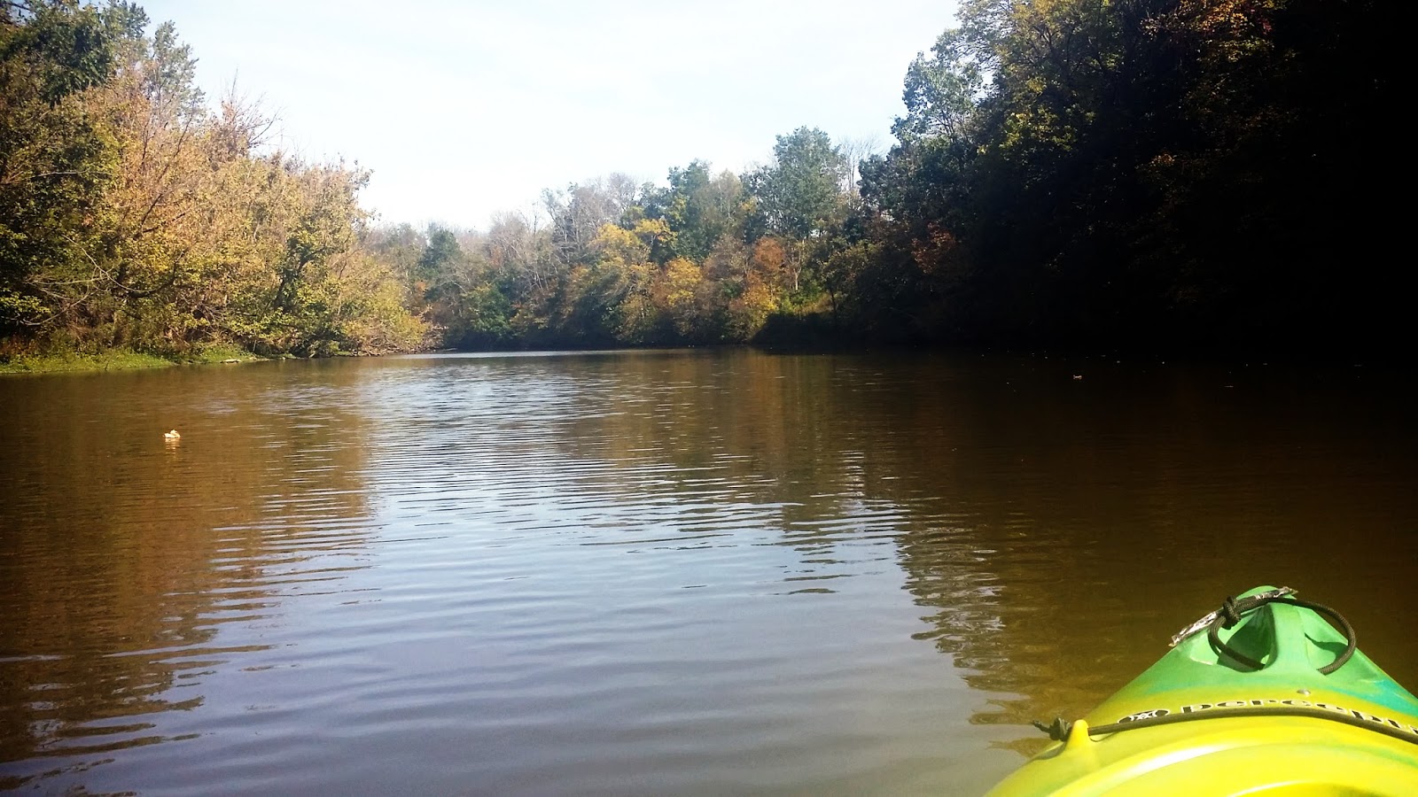 Kayaking Shelby Lake