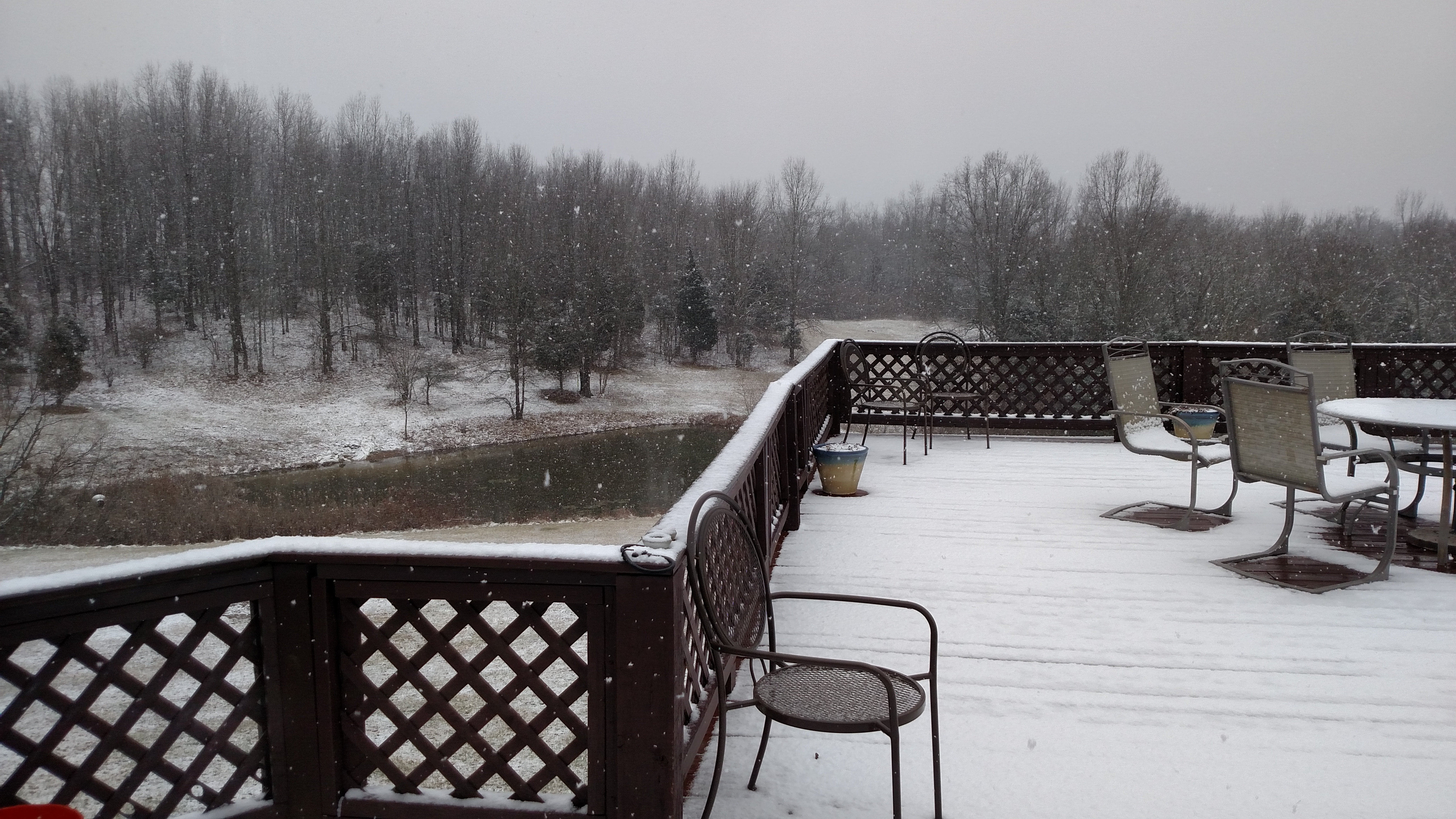 Mongrel Snowflakes!