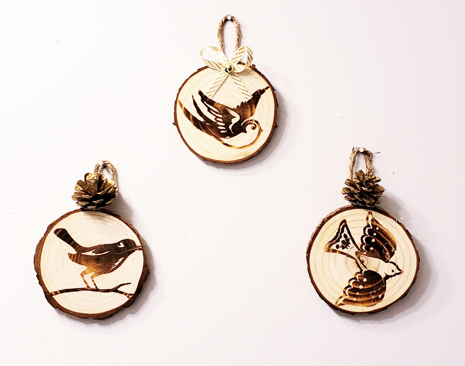Wood Burned Wood Slices